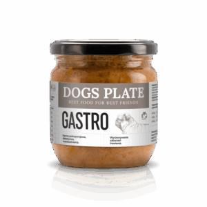 Dogs Plate Vet Gastro