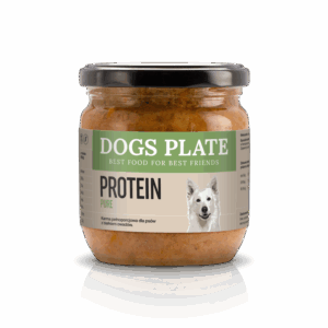Dogs Plate Protein